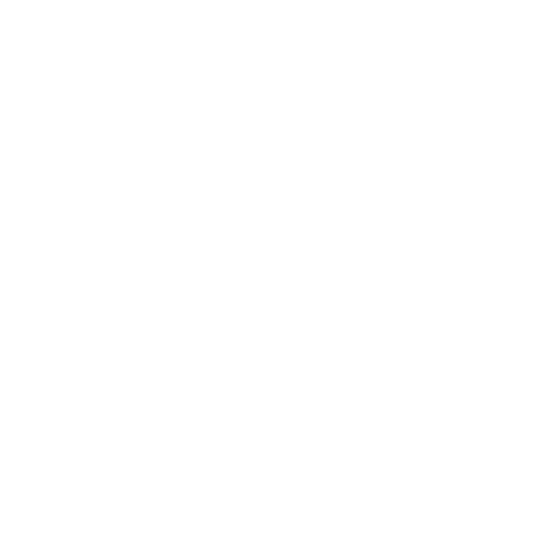 The Rem's
